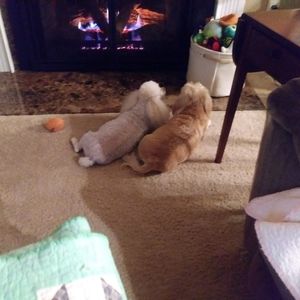 Meet your Posher, Sondra